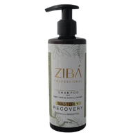 Masterly Recovery Shampoo 230 ml